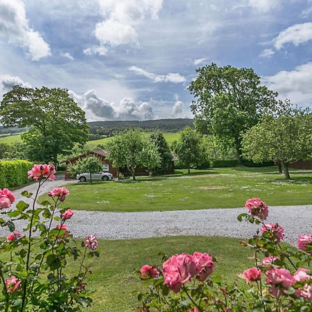 Laburnum Lodge Sleeps 6 Wheelchair Access Minehead Esterno foto